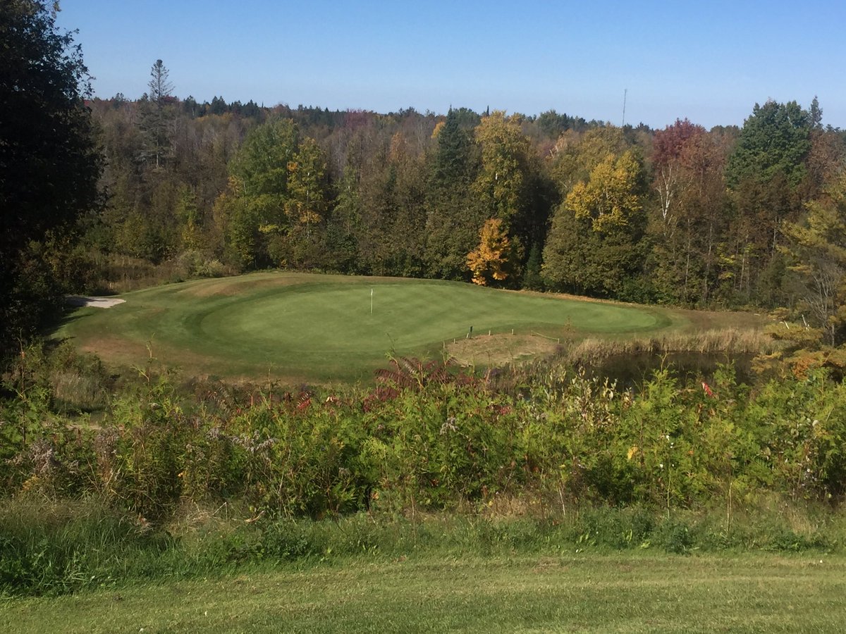 Joe McLean 🇨🇦 tweet media