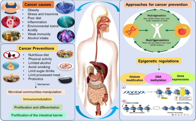 IberianCitizen's tweet photo. Nutrición y sistema inmunitario: un enfoque potencial para prevenir el cáncer
👉Causas y estrategias de prevención del cáncer🧐
https://t.co/iyiPe9cFN5 https://t.co/L38EDEQzBW