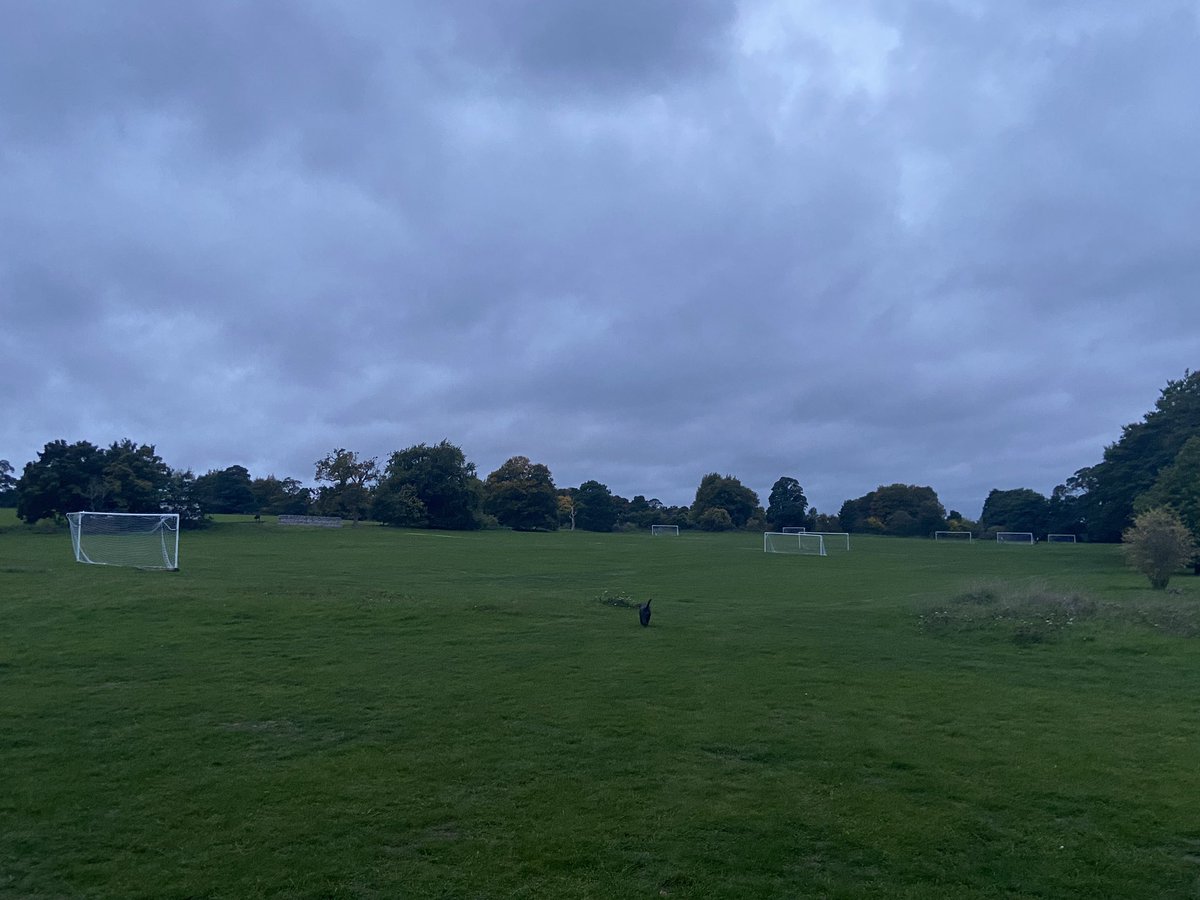 MaxSwan12's tweet photo. Out for a walk in my local park and I spotted not one, but *six* full size goals with nets attached. 

Could St Albans be the footballing Mecca we all dreamed about as kids?

@D_C_W @FootballCliches @CDEccleshare https://t.co/8VJzSPIuEq