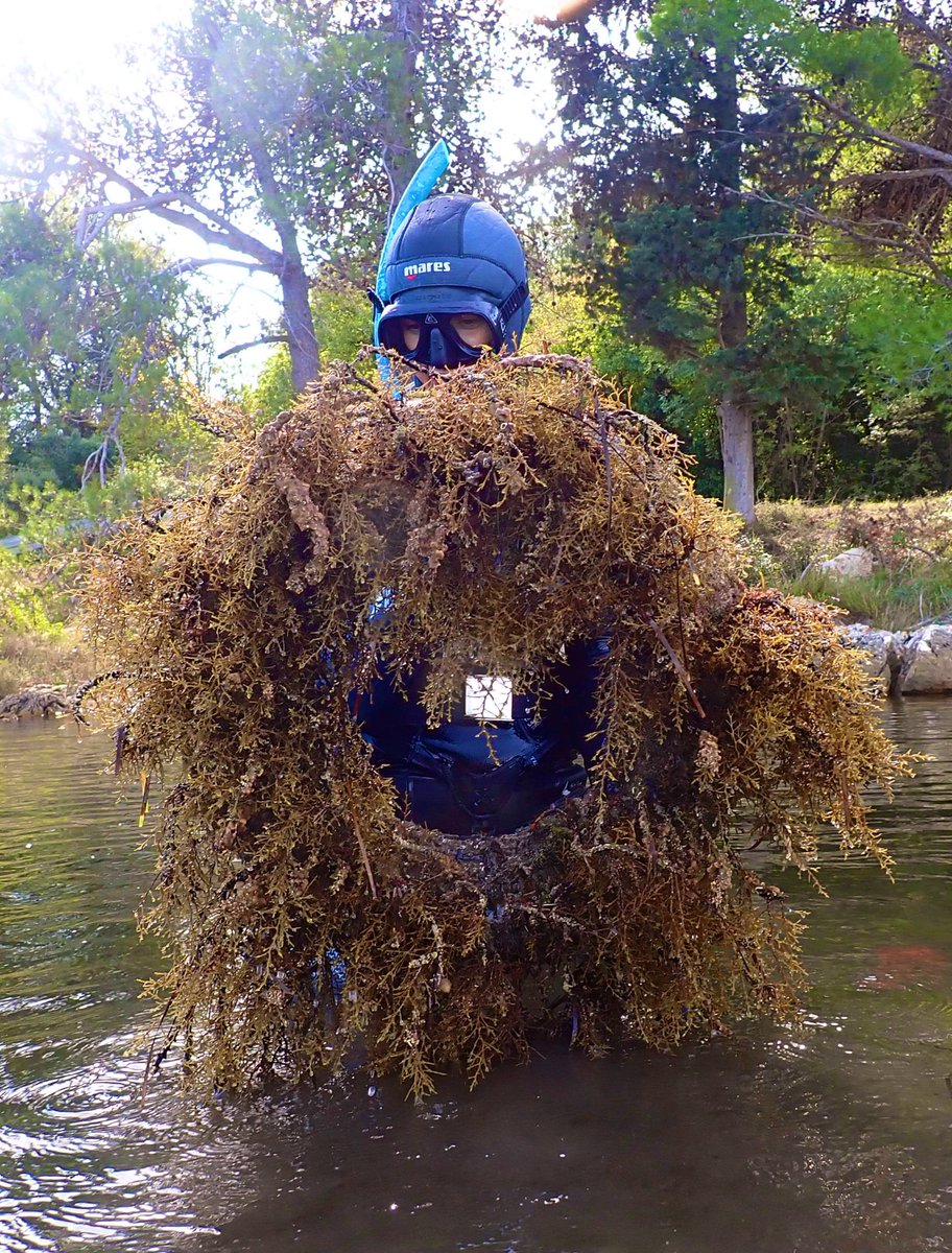 FucaleanForests's tweet photo. Did our PI Ljiljana Iveša find a new restoration technique today? 😆 A huge density of G. barbata growing on an old tyre in Šćuza Lagoon! 🪴 https://t.co/Ri2BHDFYRS