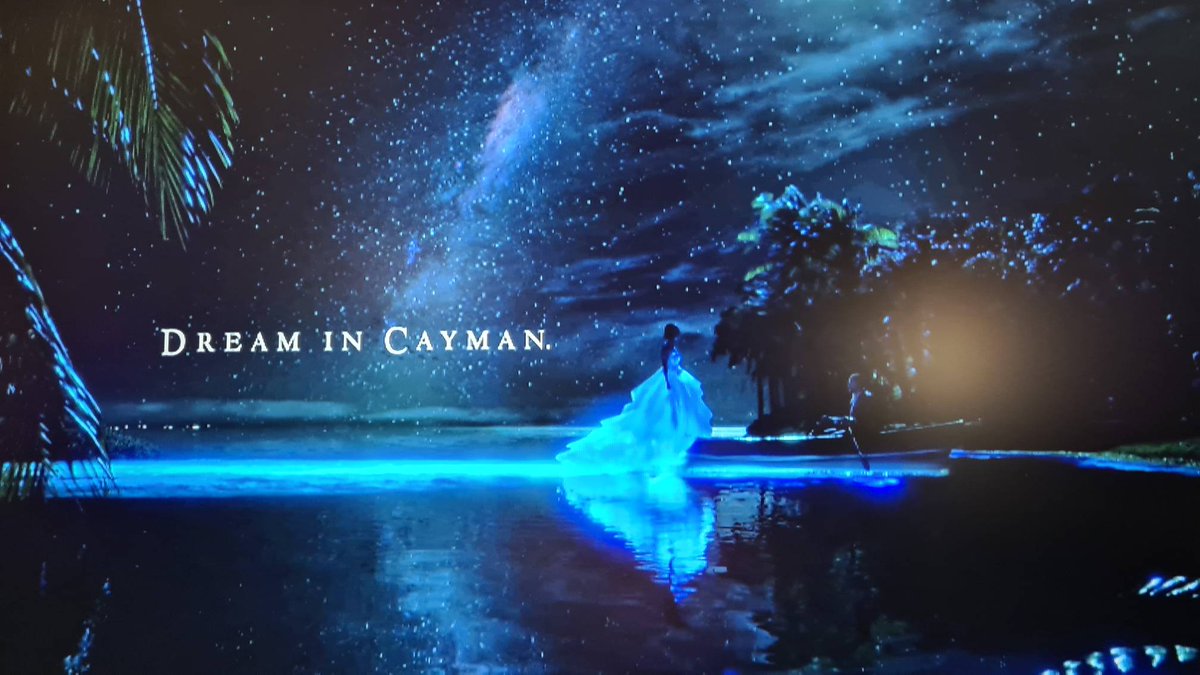 TravelTimesPlus's tweet photo. Kenneth Bryan, ministro de #turismo de las Islas Caimán, da a conocer a la prensa especializada la nueva campaña del destino caribeño: "Dream in Cayman", misma que difundirá a través de diversos medios y canales de comunicación a partir de hoy.
#CHTA #CHTAMarketplace40 #TTinforma https://t.co/j1w2f2nOKZ