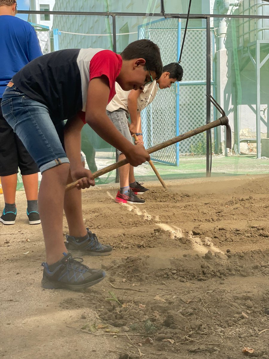 LaSalleLaSeu's tweet photo. L’alumnat del #SIEI prepara l’hort 🌱 #laSallelaSeu #inclusió https://t.co/DTuftaqxcz