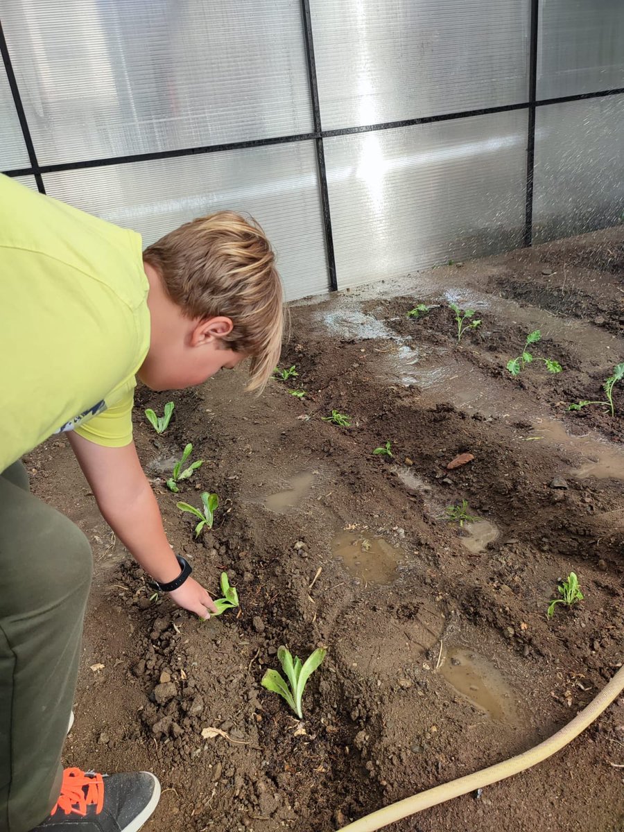 LaSalleLaSeu's tweet photo. L’alumnat del #SIEI prepara l’hort 🌱 #laSallelaSeu #inclusió https://t.co/DTuftaqxcz