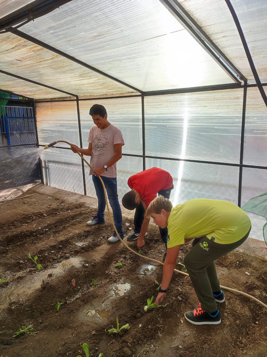 LaSalleLaSeu's tweet photo. L’alumnat del #SIEI prepara l’hort 🌱 #laSallelaSeu #inclusió https://t.co/DTuftaqxcz