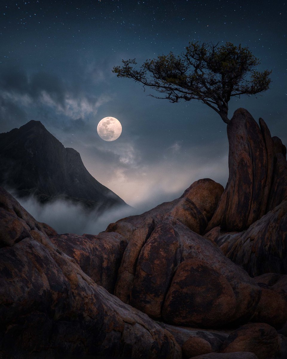 Elliot Hawkey tweet media