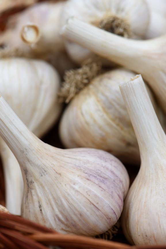 dougoster1's tweet photo. How to get six harvests from one planting of garlic.
Garlic rules!
It's easy to grow, is planted right now and smells like heaven!
https://t.co/SJBE0SnDQd
#garlic #plantinggarlic #GardeningTwitter
#gardeningfun https://t.co/ajL8oaA6e2