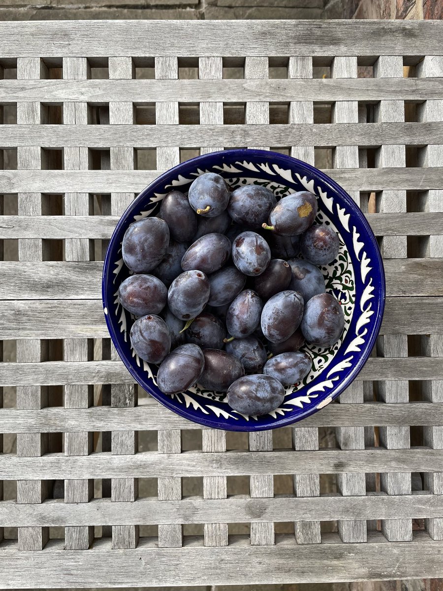 profanthonyjones tweet media