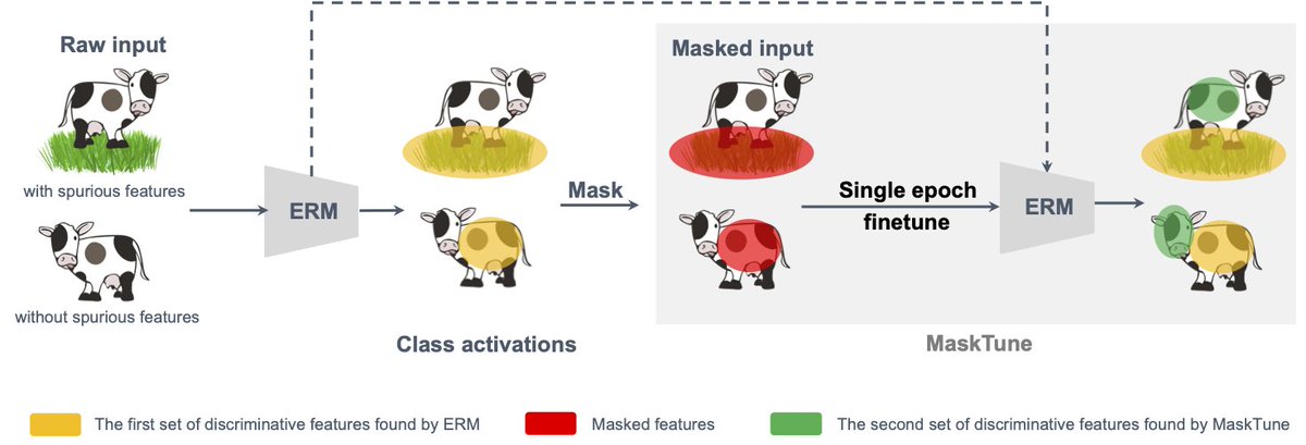 Hamarneh_MIA's tweet image. Check out our NeurIPS 2022 paper MaskTune: Mitigating Spurious Correlations by Forcing to Explore
📄paper: i.sfu.ca/NASfOc
💻code: github.com/aliasgharkhani…
@SFU_CompSci
#deeplearning #computervision #robustAI #shortcuts