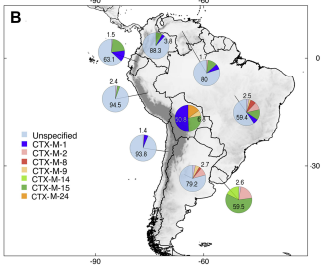 Daniel Romero-Alvarez tweet media