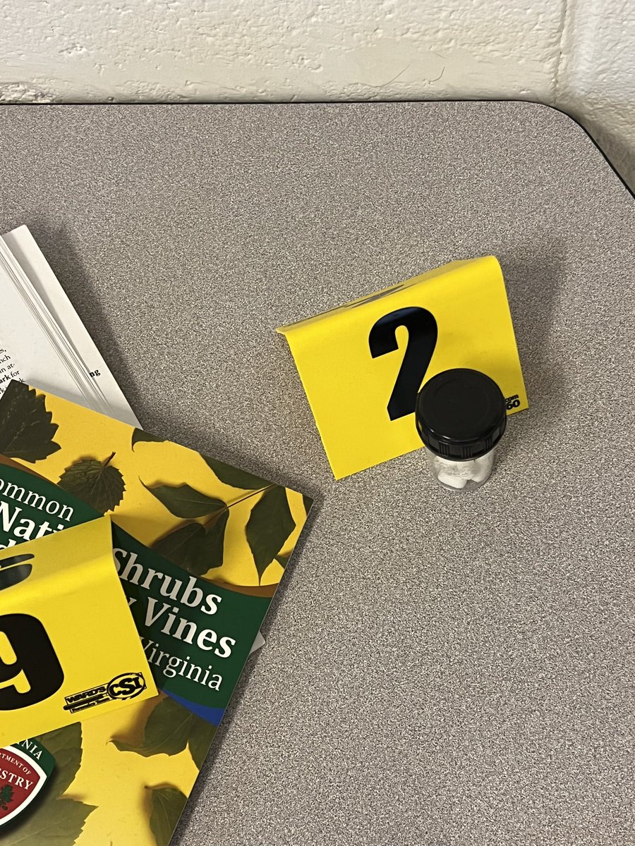 BrainyBio_Bunch's tweet photo. @WarhillHigh @PLTWorg Ss trying to determine what substance was in the pill bottle on Anna Garcia’s desk. #stem #annagarcia https://t.co/fK0PxM5Kpk