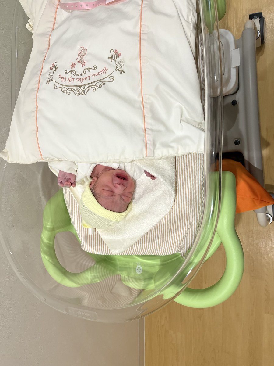 ILL1057Big's tweet photo. 赤ちゃんちゃん生まれまちた👶 https://t.co/kf94frIkP5