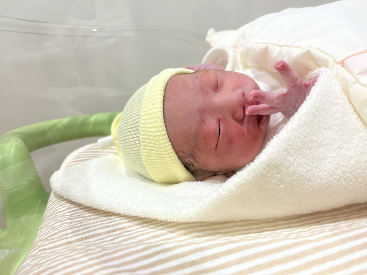 ILL1057Big's tweet photo. 赤ちゃんちゃん生まれまちた👶 https://t.co/kf94frIkP5