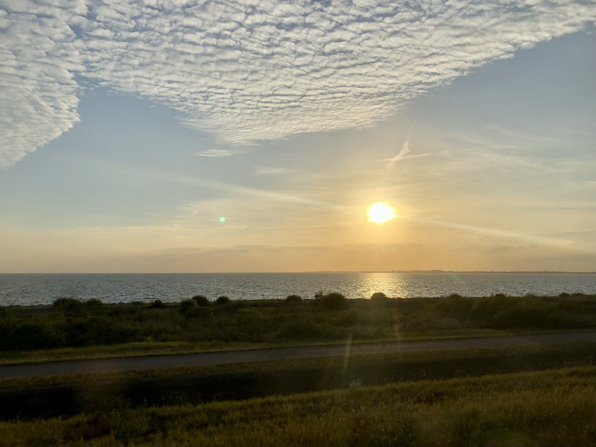 michaelstingl's tweet photo. 🗓 Travel day: 4️⃣
📆 Date: Tuesday 4 October
🏙 Starting point: Ørestad/Copenhagen 🇩🇰
🌇 End point: Göteborg 🇸🇪
🌃 Visited places: 2️⃣ - Ørestad 🇩🇰, Göteborg 🇸🇪

#workandtravel #interrail #interrail2022 #europe #eurorail #eurotrip https://t.co/B9oj7nFDTB
