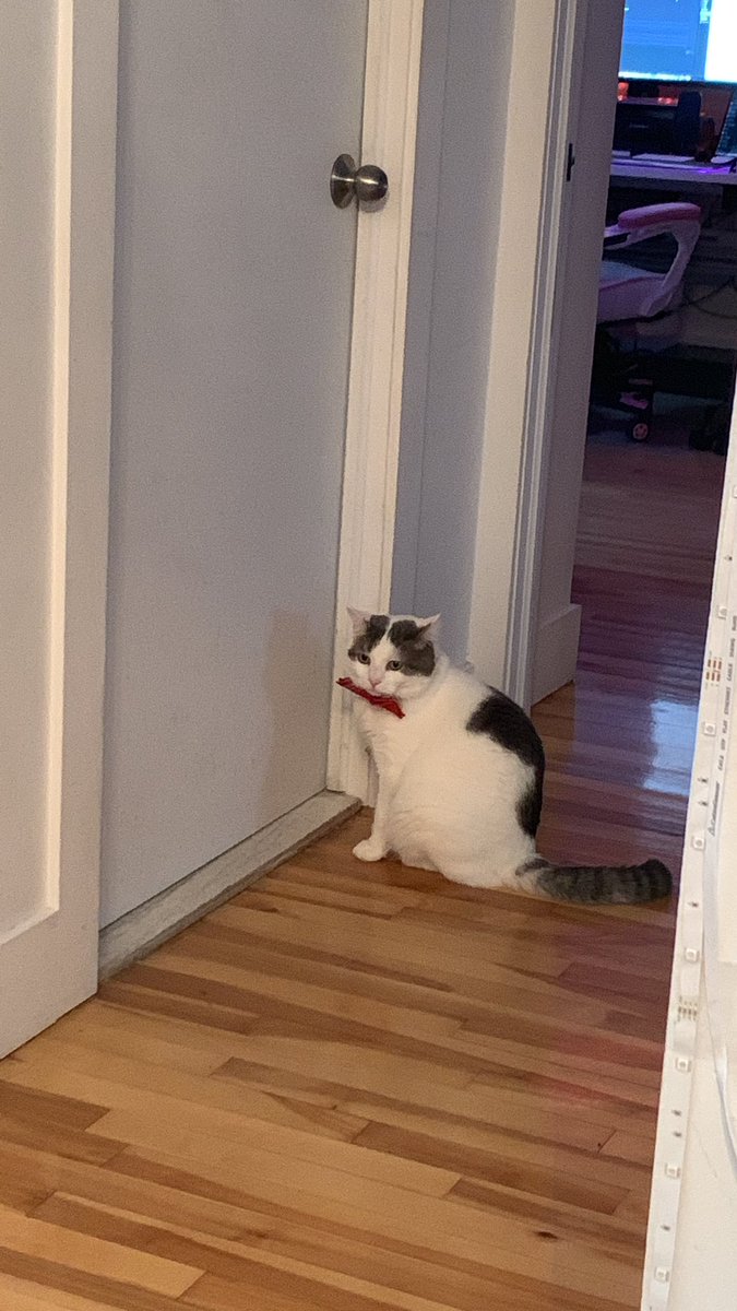 La Barbie Astronauta 👩🏻🚀🎀🚀✨ tweet media