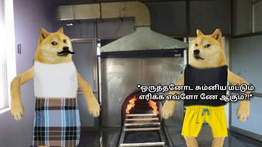ComradeBastet's tweet photo. @mottapayan @sick_chap This job. https://t.co/CBBMj5jHpc