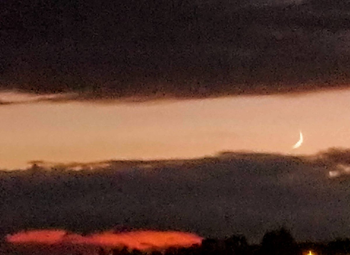 estepunit's tweet image. 