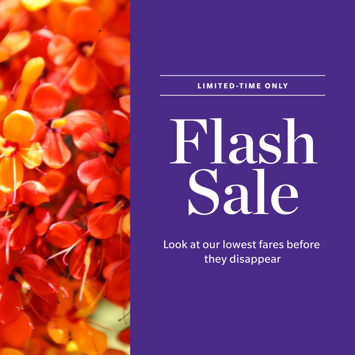 Hawaiian Airlines on Twitter "⚡ Flash Sale ⚡ Set your sights on flying