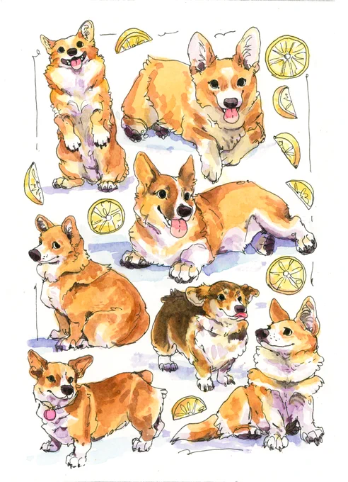 They are actually a patreon tier!! For $120 a month you can select an animal of your choice and receive either a doodlepage or an experimental painting of it! 