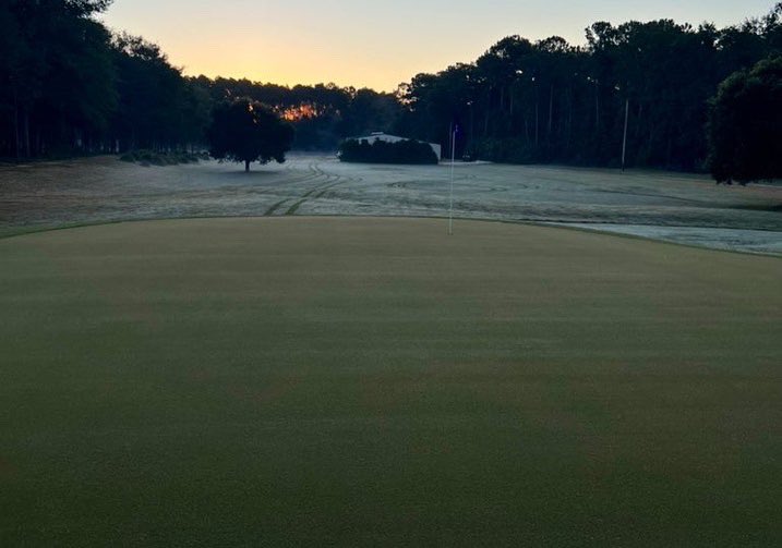 The Loop tweet media