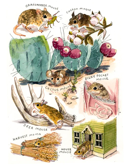 They are actually a patreon tier!! For $120 a month you can select an animal of your choice and receive either a doodlepage or an experimental painting of it! 