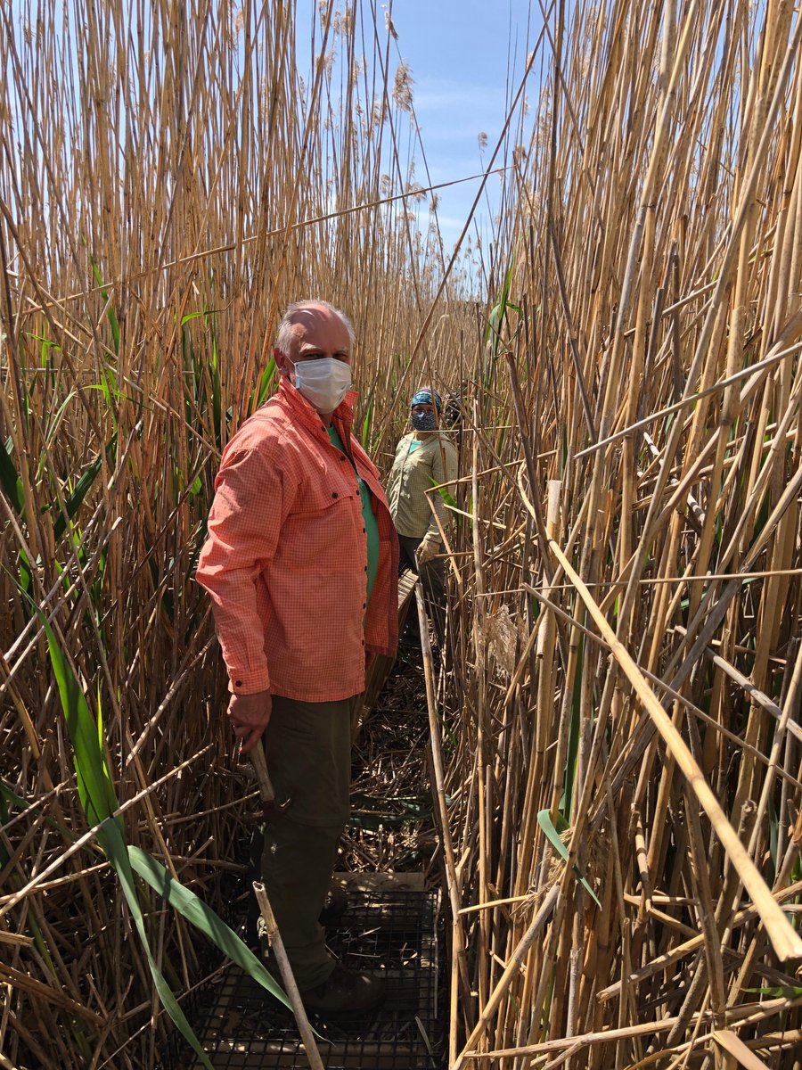 USGSCoastChange's tweet photo. APPLY BY NOVEMBER 1ST!
#MendenhallResearchFellowship: Guiding Federal agency prioritization for implementation of nature-based #climatesolutions https://t.co/NuLpAPtehW

#USGS #GeoJobs #STEMjobs #BlackinSTEM #STEAMandSTEM #LatinaandSTEM #DiversityinSTEM #STEMdiversity #LBGTSTEM https://t.co/j7Hm0OLCUL