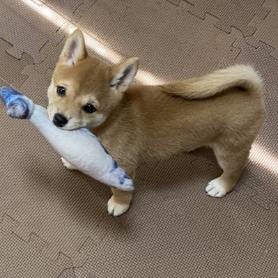 vip_drum's tweet photo. #新しいプロフィール画像 https://t.co/Rg4KrbIc5i