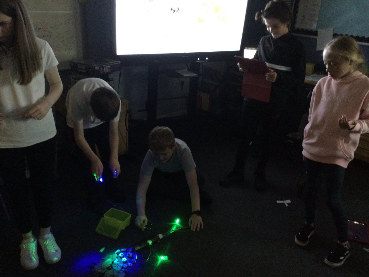 chapelhallPS's tweet photo. P6 and P6/5 took photos and videos of their natural materials character. Later in the week they’re going to make and edit videos with these clips and images. I can’t wait to see the results. #digitalliteracyweek #SDLW22 @DigiLearnScot https://t.co/hYyZTnMtS6