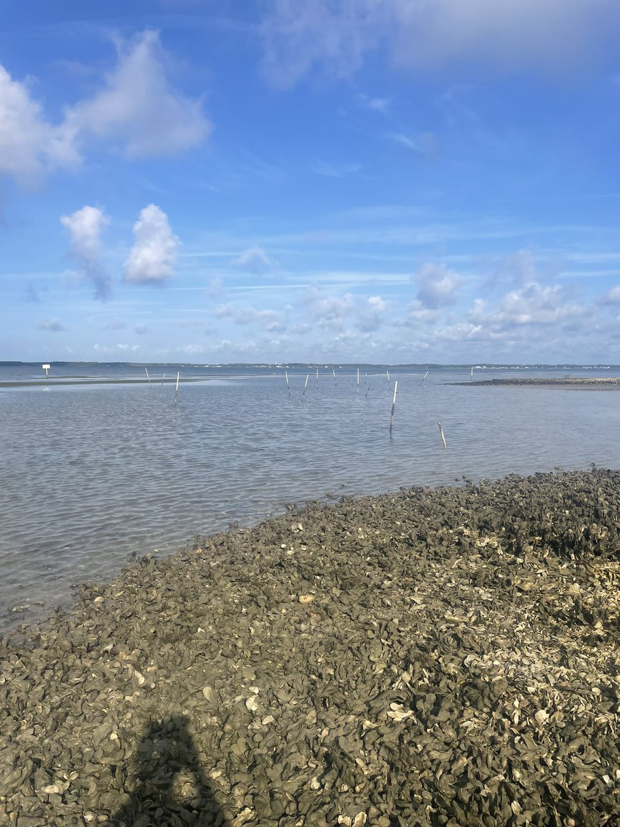 Dr. Stacy Trackenberg tweet media