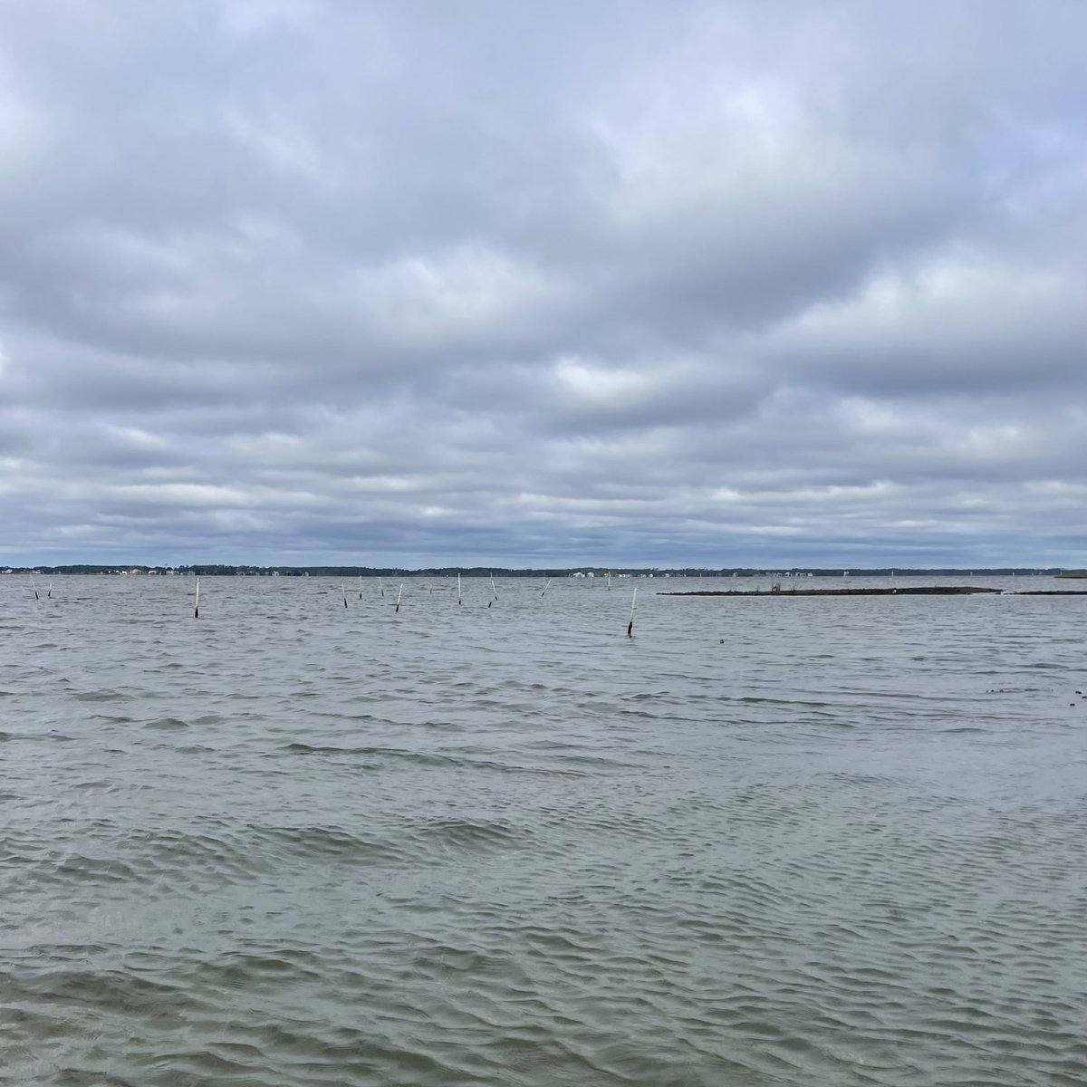 Dr. Stacy Trackenberg tweet media