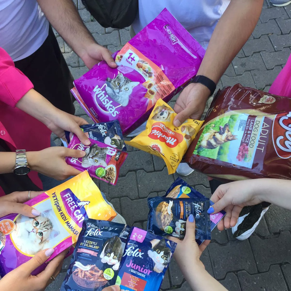 KdzTog's tweet photo. 4 Ekim hayvanları koruma günü için Kdz.Ereğli Tog ailesi olarak geçen cumartesi yaptığımız "Mamanı Al Gel" etkinliğimizden kalanlar. Gelen bütün arkadaşlara teşekkürler. 🎉😊 Sonraki etkinliklerde görüşmek üzere.🤩🥳 https://t.co/n0kvDm5LUJ