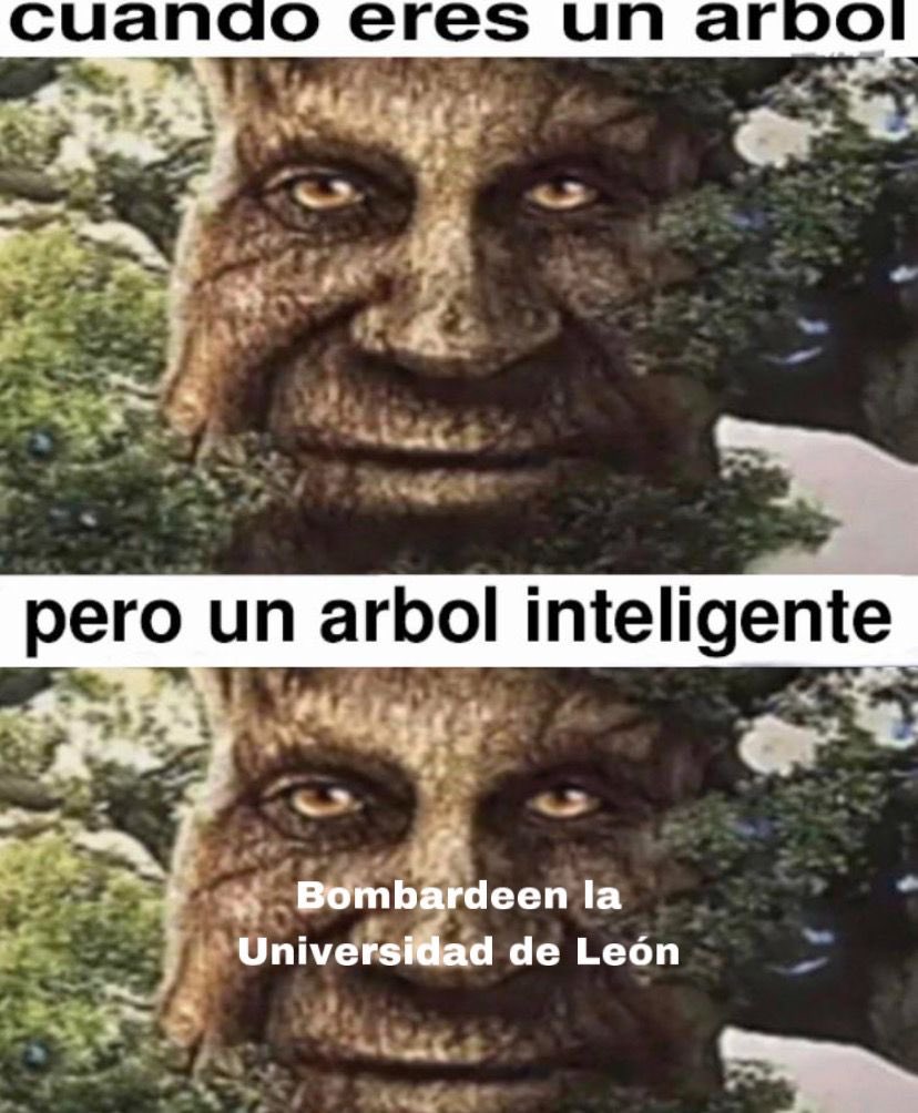 MemesUle's tweet photo. https://t.co/CVZd7GAjtf