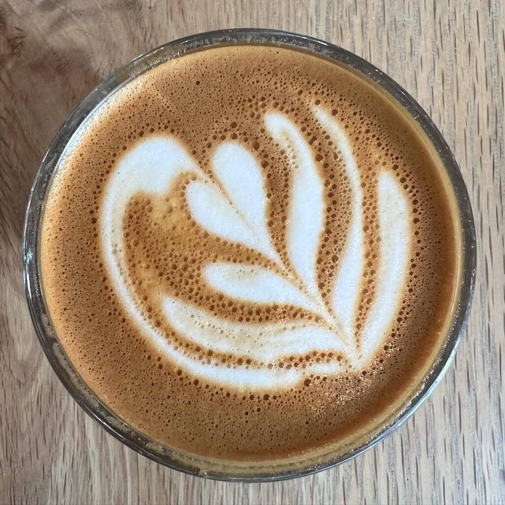 gserafini's tweet photo. Gibraltar at Farm and Flour working with Damon on our project https://t.co/RospAcq4fv https://t.co/xQnjLmJ4GU