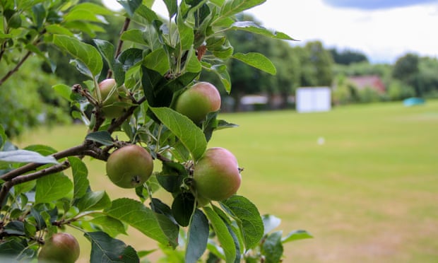 The club have donated the most of the apples 🍎 grown at the Hazard, to the <a href="/ElvetCider/">ElvetCider</a> to turn into lovely cider 🍺. The rest were left for the wildlife 🐦