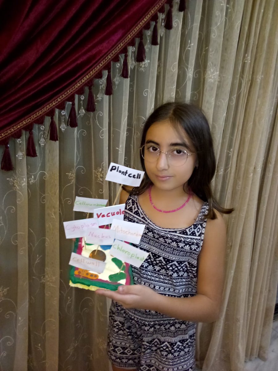 Natalie shamas from grade 6 created a plant cell and labeled its different parts <a href="/manalshaar2/">Manal Shaar</a> <a href="/MakAishaSchool/">MakAishaSchool</a> <a href="/NElakhdar/">Nour elakhdar</a>