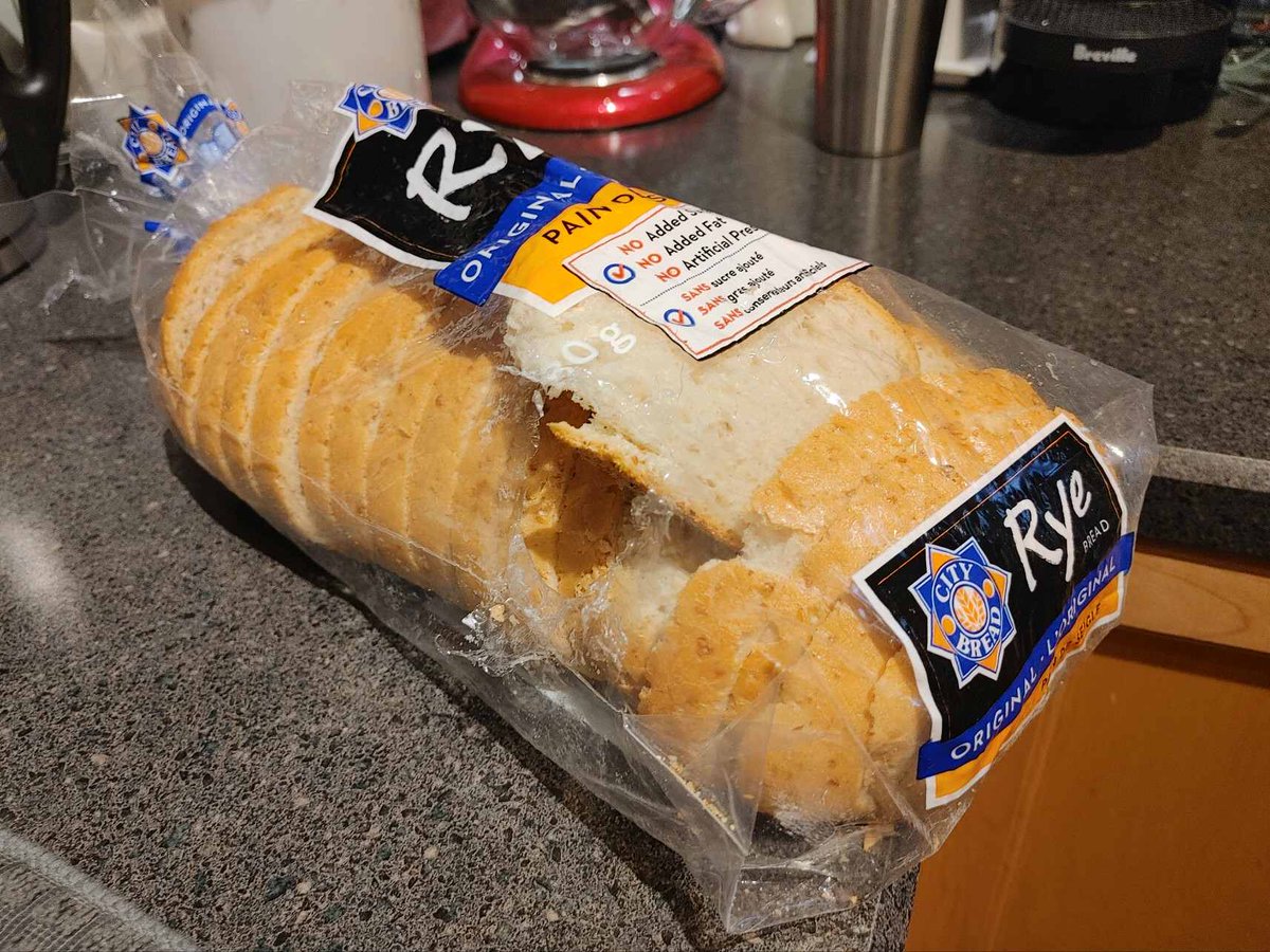 Jeff_T_Cat's tweet photo. How dare you insinuate that I, a perfect and cuddly angel, would dare to tear open a fresh loaf of bread? #CatsOnTwitter #CatsofTwittter #BlackCat #cute #CuteCats #cuteanimals #Meow #kitty #Cat #cuddles #cats #nom https://t.co/A2g6cPEAb4