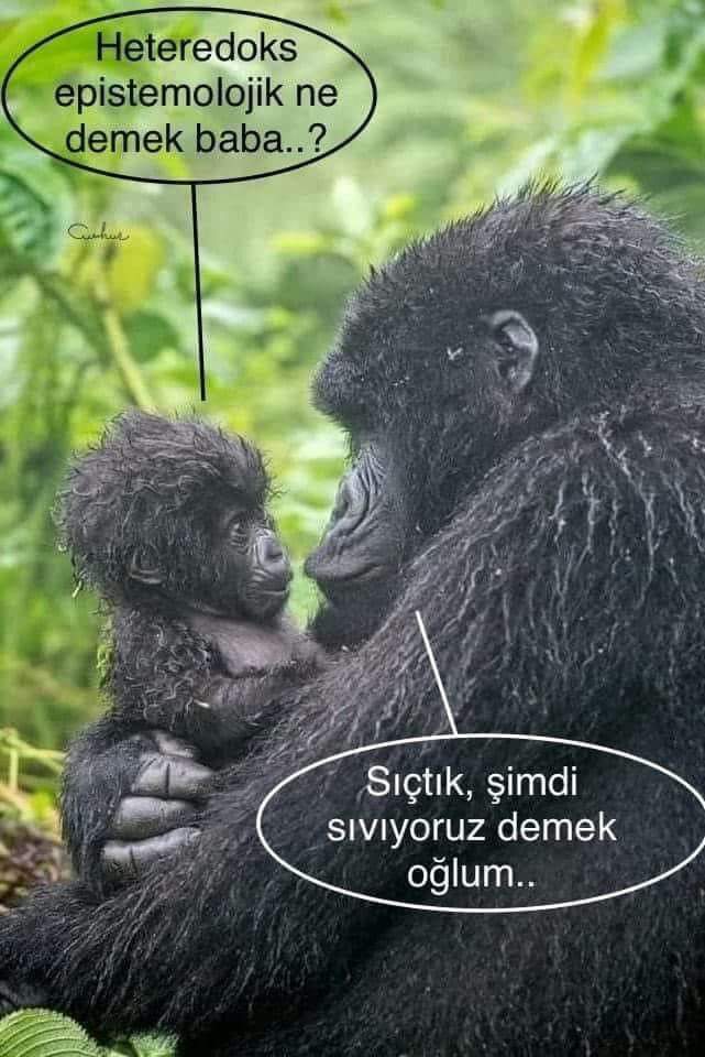 Bakan Nebati 
Sözümün arkasındayız demiş 
😂😂😂😂
#BizeAkpDemeyin