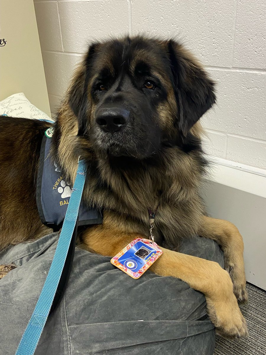 Bud Wrigley tweet media