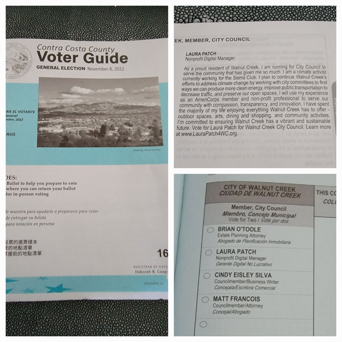LauraPatch4WC's tweet photo. I'm in the Contra Costa County Voter Guide! Is this real? Some days I expect to wake up and find it was all a dream (or nightmare, haha). Today is definitely one of those. My 5-year old self would be so impressed! #FirstTimeCandidate #WalnutCreekCityCouncil #WalnutCreek #vote https://t.co/yIiFQOnXJw