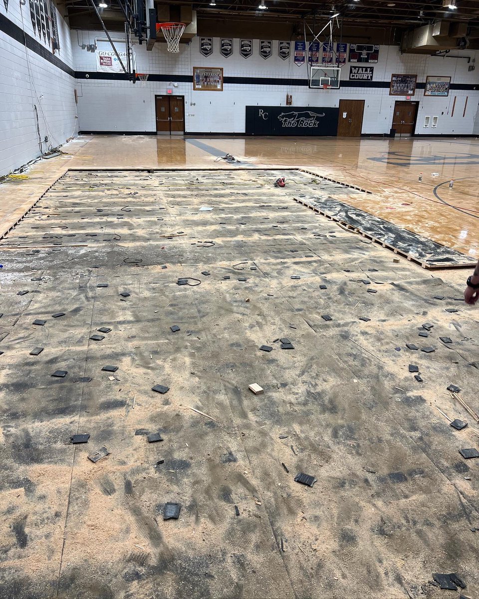 SCSbyFlooraction tweet media