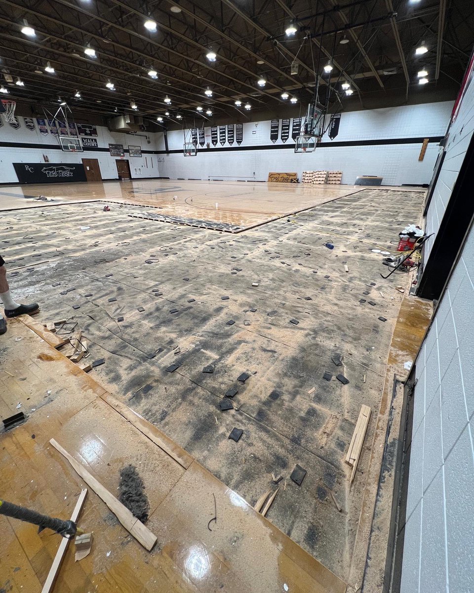 SCSbyFlooraction tweet media