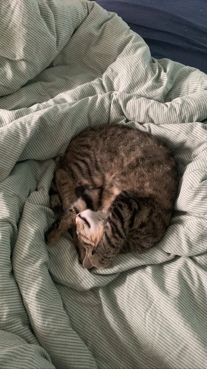 mijn beste vriendje #werelddierendag🫶🏻