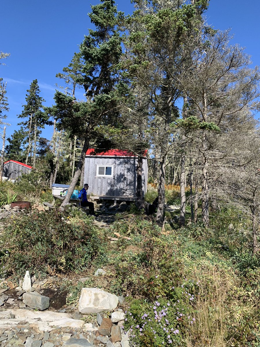 serenahaines's tweet photo. Find a shack. Bring a blanket. Surrender to pleasure. Be still. Silence is prayer. Eroticism exists all around if you pay attention and allow play to enter. #HalifaxSexCoach #OceanPlayground #OffGrid (ish lol.. I mean let’s be realistic) https://t.co/XTcjmlUCn0
