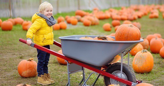 With pumpkin patches, falling conkers, fireworks and apple events, autumn is the perfect time for outdoor adventures with the kids. Here are our favourite family activities to try this season. eastlife.co.uk/article/14-fam…