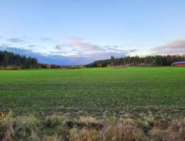 mir_lam's tweet photo. Syksyn väri voi olla näinkin herkän vihreä. Syysruis on kauniisti oraalla! https://t.co/LMBo7sN1QZ