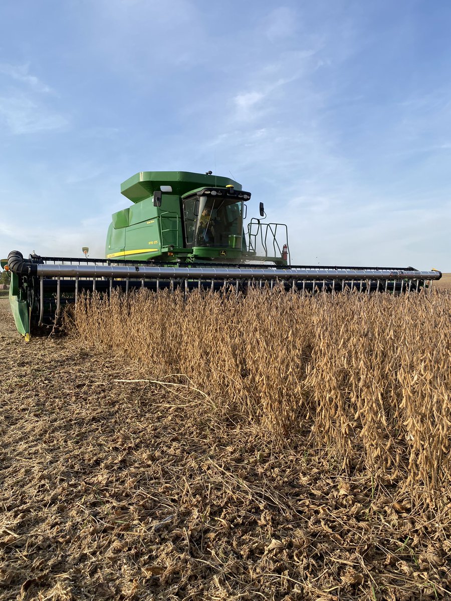 IS IT FIREPROOF?

We sure hope so! We hope everyone has a safe harvest and prosperous fall.

#signsofyield #fireproof #soybeans #beckshybrids #notadraper #makeaugerheadscoolagain