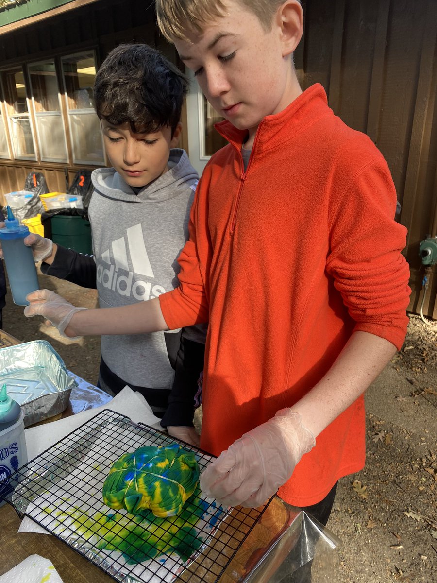 Mrs Notton, NCBT tweet media