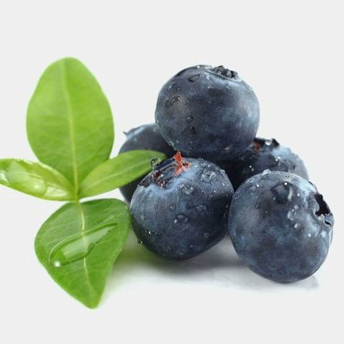 ergunkaptan03's tweet photo. Blue Berry/Böğürtlen/Ahududu/Çilek/Üzüm meyvelerinin üretimi pazarlanması çok yakında Kanal3 üreticinin sesi programında...
#üreticininsesi @kanal3tv #blueberry https://t.co/Z4ZTXrmPr6