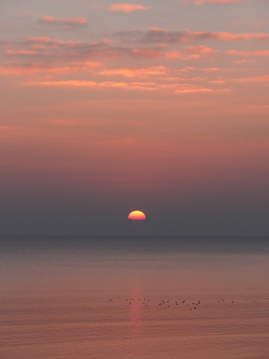 helena_mar19's tweet photo. Good Evening Friends ✨ https://t.co/hfjxPCTkfN