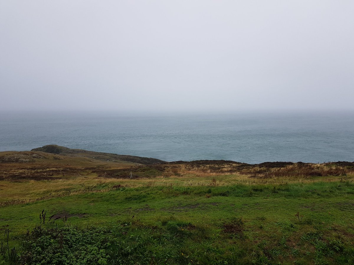 kendie's tweet photo. Today we've had rain, wind, mist so we've not been far. Been watching the rissos dolphins jumping out the water and a pair of choughs battling against the wind! The horses found a spot to shelter from wind and rain! #PointLynasLighthouse #Anglesey https://t.co/AeBj4YF4Sl