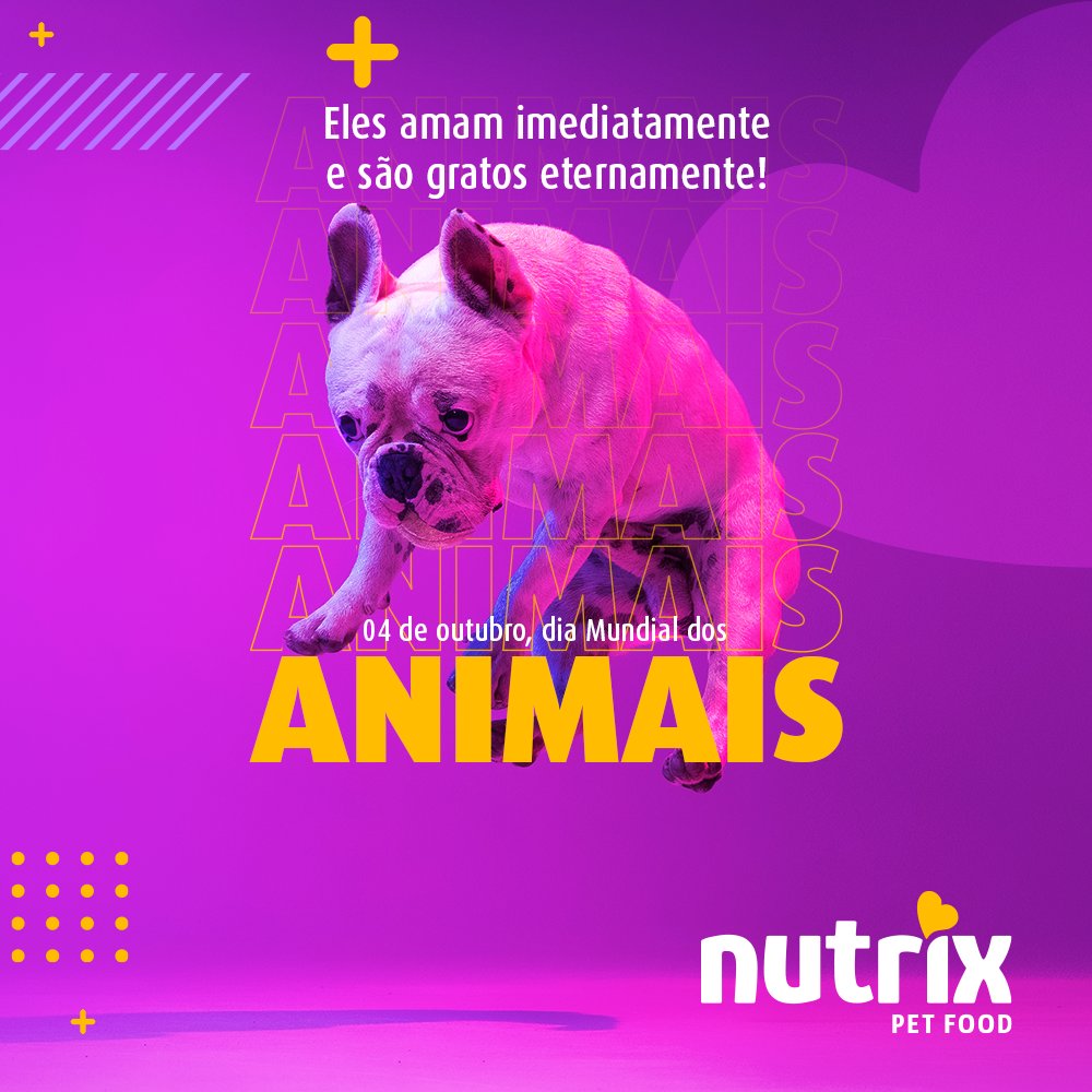 NutrixPetFood's tweet photo. A data de hoje destaca a importância que os animais têm na vida dos seres humanos e do mundo, ressaltando o respeito e o compromisso por todas as formas de vida! 💜💛

#diamundialdosanimais #diadosanimais #pet #dog #nutrixpetfood https://t.co/qE7BGd3XjN